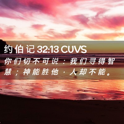 Picture 02 - 约 伯 记 32:13 CUVS - 你 们 切 不 可 说 ： 我 们 寻 得 智 - Bible Verse Picture
