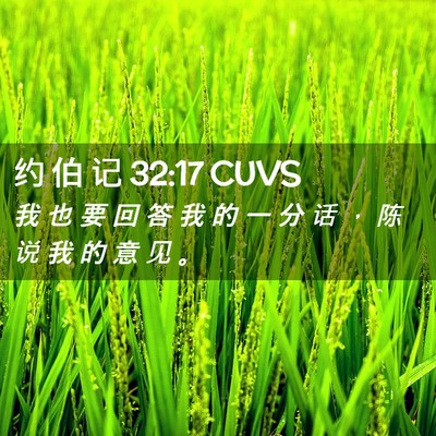 Picture 02 - 约 伯 记 32:17 CUVS - 我 也 要 回 答 我 的 一 分 话 ， 陈 - Bible Verse Picture