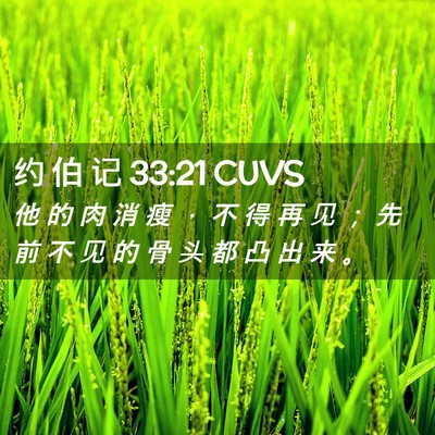Picture 02 - 约 伯 记 33:21 CUVS - 他 的 肉 消 瘦 ， 不 得 再 见 ； 先 - Bible Verse Picture