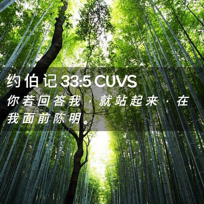 Picture 02 - 约 伯 记 33:5 CUVS - 你 若 回 答 我 ， 就 站 起 来 ， 在 - Bible Verse Picture