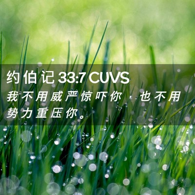 Picture 02 - 约 伯 记 33:7 CUVS - 我 不 用 威 严 惊 吓 你 ， 也 不 用 - Bible Verse Picture