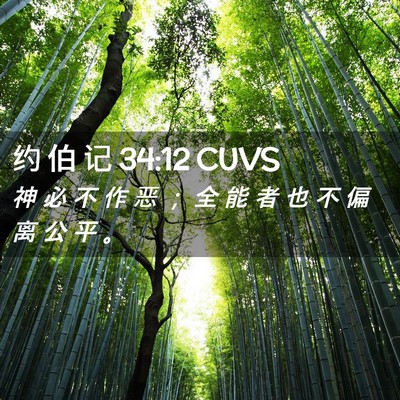 Picture 02 - 约 伯 记 34:12 CUVS - 神 必 不 作 恶 ； 全 能 者 也 不 偏 - Bible Verse Picture