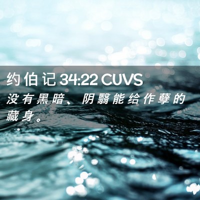 Picture 02 - 约 伯 记 34:22 CUVS - 没 有 黑 暗 、 阴 翳 能 给 作 孽 的 - Bible Verse Picture