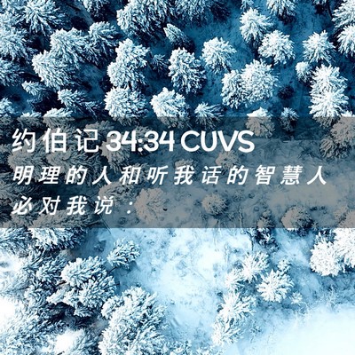 Picture 02 - 约 伯 记 34:34 CUVS - 明 理 的 人 和 听 我 话 的 智 慧 人 - Bible Verse Picture