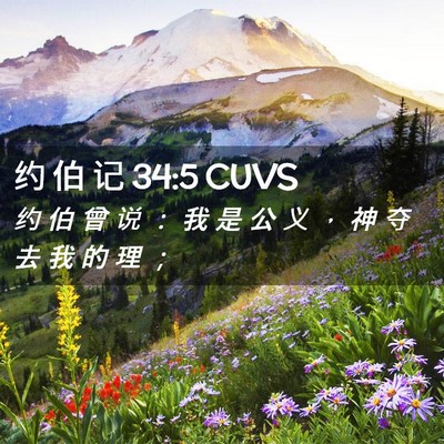 Picture 02 - 约 伯 记 34:5 CUVS - 约 伯 曾 说 ： 我 是 公 义 ， 神 夺 - Bible Verse Picture