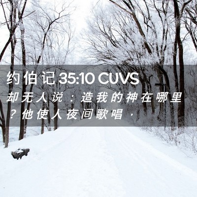 Picture 02 - 约 伯 记 35:10 CUVS - 却 无 人 说 ： 造 我 的 神 在 哪 里 - Bible Verse Picture