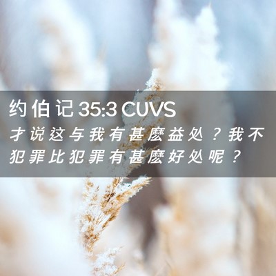 Picture 02 - 约 伯 记 35:3 CUVS - 才 说 这 与 我 有 甚 麽 益 处 ？ 我 - Bible Verse Picture