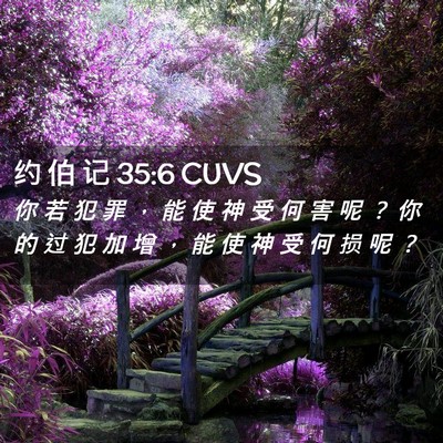 Picture 02 - 约 伯 记 35:6 CUVS - 你 若 犯 罪 ， 能 使 神 受 何 害 呢 - Bible Verse Picture