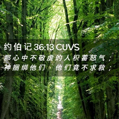Picture 02 - 约 伯 记 36:13 CUVS - 那 心 中 不 敬 虔 的 人 积 蓄 怒 气 - Bible Verse Picture