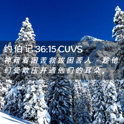 Picture 02 - 约 伯 记 36:15 CUVS - 神 藉 着 困 苦 救 拔 困 苦 人 ， 趁 - Bible Verse Picture