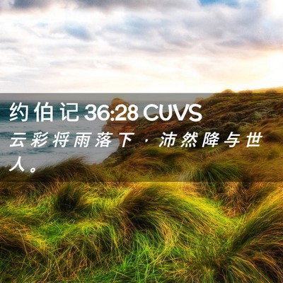 Picture 02 - 约 伯 记 36:28 CUVS - 云 彩 将 雨 落 下 ， 沛 然 降 与 世 - Bible Verse Picture