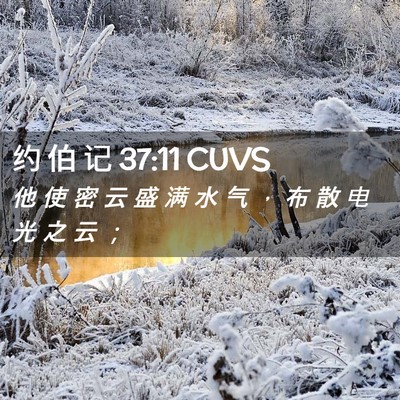 Picture 02 - 约 伯 记 37:11 CUVS - 他 使 密 云 盛 满 水 气 ， 布 散 电 - Bible Verse Picture