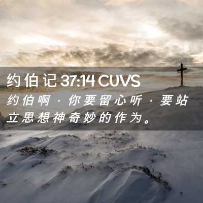 Picture 02 - 约 伯 记 37:14 CUVS - 约 伯 啊 ， 你 要 留 心 听 ， 要 站 - Bible Verse Picture