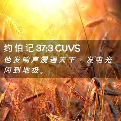 Picture 02 - 约 伯 记 37:3 CUVS - 他 发 响 声 震 遍 天 下 ， 发 电 光 - Bible Verse Picture