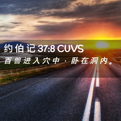 Picture 02 - 约 伯 记 37:8 CUVS - 百 兽 进 入 穴 中 ， 卧 在 洞 内 - Bible Verse Picture