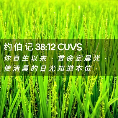 Picture 02 - 约 伯 记 38:12 CUVS - 你 自 生 以 来 ， 曾 命 定 晨 光 ， - Bible Verse Picture