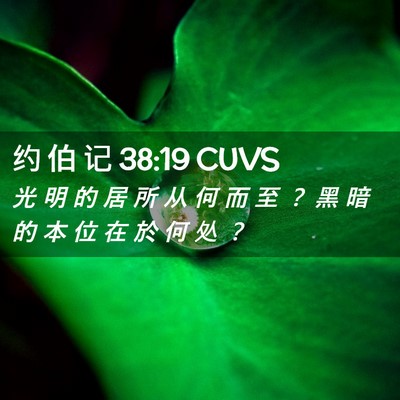 Picture 02 - 约 伯 记 38:19 CUVS - 光 明 的 居 所 从 何 而 至 ？ 黑 暗 - Bible Verse Picture