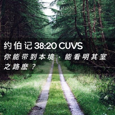 Picture 02 - 约 伯 记 38:20 CUVS - 你 能 带 到 本 境 ， 能 看 明 其 室 - Bible Verse Picture