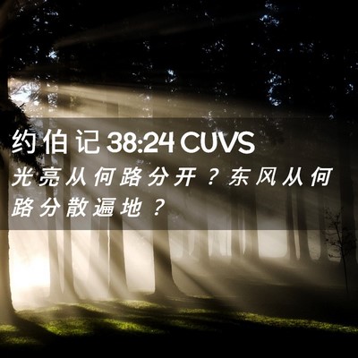 Picture 02 - 约 伯 记 38:24 CUVS - 光 亮 从 何 路 分 开 ？ 东 风 从 何 - Bible Verse Picture