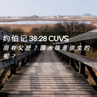 Picture 02 - 约 伯 记 38:28 CUVS - 雨 有 父 麽 ？ 露 水 珠 是 谁 生 的 - Bible Verse Picture