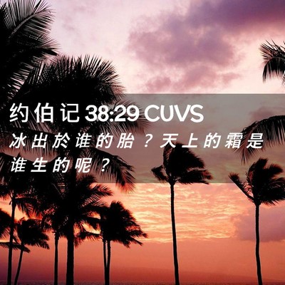 Picture 02 - 约 伯 记 38:29 CUVS - 冰 出 於 谁 的 胎 ？ 天 上 的 霜 是 - Bible Verse Picture