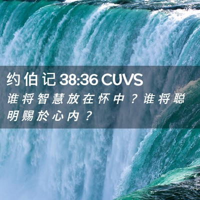 Picture 02 - 约 伯 记 38:36 CUVS - 谁 将 智 慧 放 在 怀 中 ？ 谁 将 聪 - Bible Verse Picture