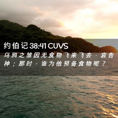 Picture 02 - 约 伯 记 38:41 CUVS - 乌 鸦 之 雏 因 无 食 物 飞 来 飞 去 - Bible Verse Picture