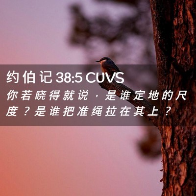 Picture 02 - 约 伯 记 38:5 CUVS - 你 若 晓 得 就 说 ， 是 谁 定 地 的 - Bible Verse Picture