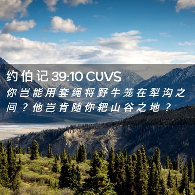 Picture 02 - 约 伯 记 39:10 CUVS - 你 岂 能 用 套 绳 将 野 牛 笼 在 犁 - Bible Verse Picture