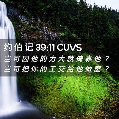 Picture 02 - 约 伯 记 39:11 CUVS - 岂 可 因 他 的 力 大 就 倚 靠 他 ？ - Bible Verse Picture