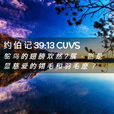 Picture 02 - 约 伯 记 39:13 CUVS - 鸵 鸟 的 翅 膀 欢 然 ? 展 ， 岂 是 显 - Bible Verse Picture