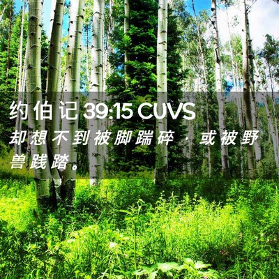 Picture 02 - 约 伯 记 39:15 CUVS - 却 想 不 到 被 脚 踹 碎 ， 或 被 野 - Bible Verse Picture
