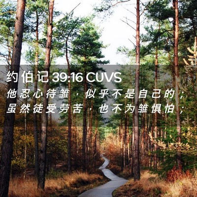 Picture 02 - 约 伯 记 39:16 CUVS - 他 忍 心 待 雏 ， 似 乎 不 是 自 己 - Bible Verse Picture