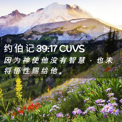 Picture 02 - 约 伯 记 39:17 CUVS - 因 为 神 使 他 没 有 智 慧 ， 也 未 - Bible Verse Picture