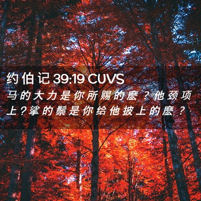 Picture 02 - 约 伯 记 39:19 CUVS - 马 的 大 力 是 你 所 赐 的 麽 ？ 他 - Bible Verse Picture