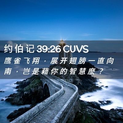 Picture 02 - 约 伯 记 39:26 CUVS - 鹰 雀 飞 翔 ， 展 开 翅 膀 一 直 向 - Bible Verse Picture