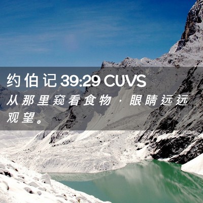Picture 02 - 约 伯 记 39:29 CUVS - 从 那 里 窥 看 食 物 ， 眼 睛 远 远 - Bible Verse Picture