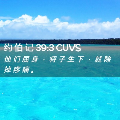Picture 02 - 约 伯 记 39:3 CUVS - 他 们 屈 身 ， 将 子 生 下 ， 就 除 - Bible Verse Picture