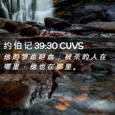 Picture 02 - 约 伯 记 39:30 CUVS - 他 的 雏 也 咂 血 ； 被 杀 的 人 在 - Bible Verse Picture