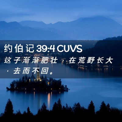 Picture 02 - 约 伯 记 39:4 CUVS - 这 子 渐 渐 肥 壮 ， 在 荒 野 长 大 - Bible Verse Picture
