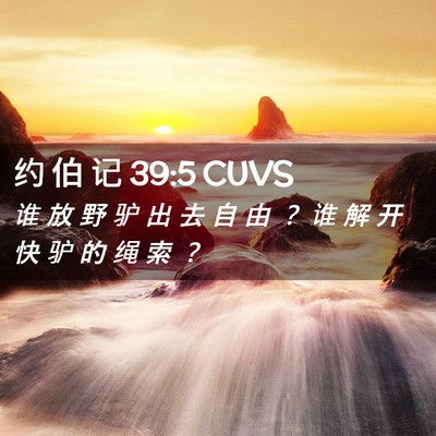 Picture 02 - 约 伯 记 39:5 CUVS - 谁 放 野 驴 出 去 自 由 ？ 谁 解 开 - Bible Verse Picture