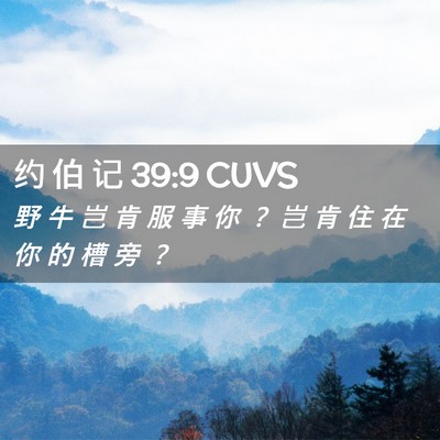 Picture 02 - 约 伯 记 39:9 CUVS - 野 牛 岂 肯 服 事 你 ？ 岂 肯 住 在 - Bible Verse Picture