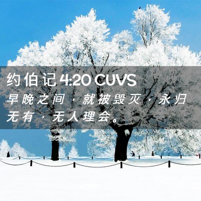 Picture 02 - 约 伯 记 4:20 CUVS - 早 晚 之 间 ， 就 被 毁 灭 ， 永 归 - Bible Verse Picture