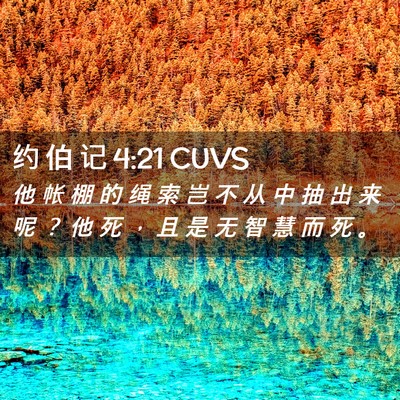 Picture 02 - 约 伯 记 4:21 CUVS - 他 帐 棚 的 绳 索 岂 不 从 中 抽 出 - Bible Verse Picture