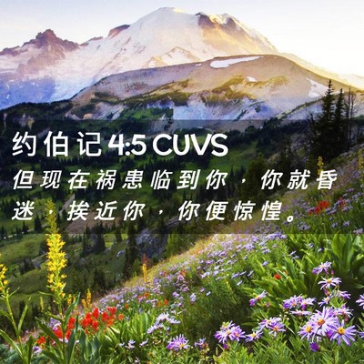 Picture 02 - 约 伯 记 4:5 CUVS - 但 现 在 祸 患 临 到 你 ， 你 就 昏 - Bible Verse Picture