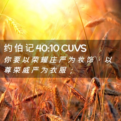 Picture 02 - 约 伯 记 40:10 CUVS - 你 要 以 荣 耀 庄 严 为 妆 饰 ， 以 - Bible Verse Picture