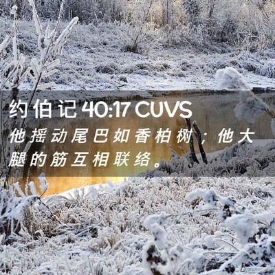 Picture 02 - 约 伯 记 40:17 CUVS - 他 摇 动 尾 巴 如 香 柏 树 ； 他 大 - Bible Verse Picture