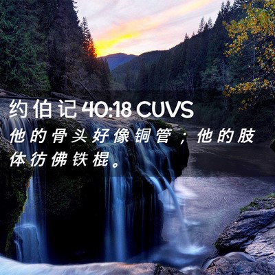 Picture 02 - 约 伯 记 40:18 CUVS - 他 的 骨 头 好 像 铜 管 ； 他 的 肢 - Bible Verse Picture