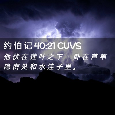Picture 02 - 约 伯 记 40:21 CUVS - 他 伏 在 莲 叶 之 下 ， 卧 在 芦 苇 - Bible Verse Picture