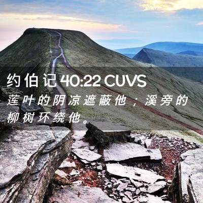 Picture 02 - 约 伯 记 40:22 CUVS - 莲 叶 的 阴 凉 遮 蔽 他 ； 溪 旁 的 - Bible Verse Picture